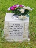 image of grave number 919855